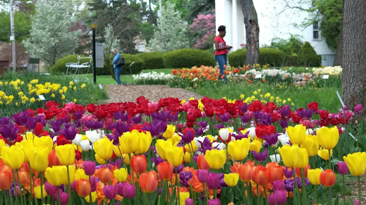 8 Things To Do This Weekend: Easter Eggspress, Bunny Cuddles & the ...