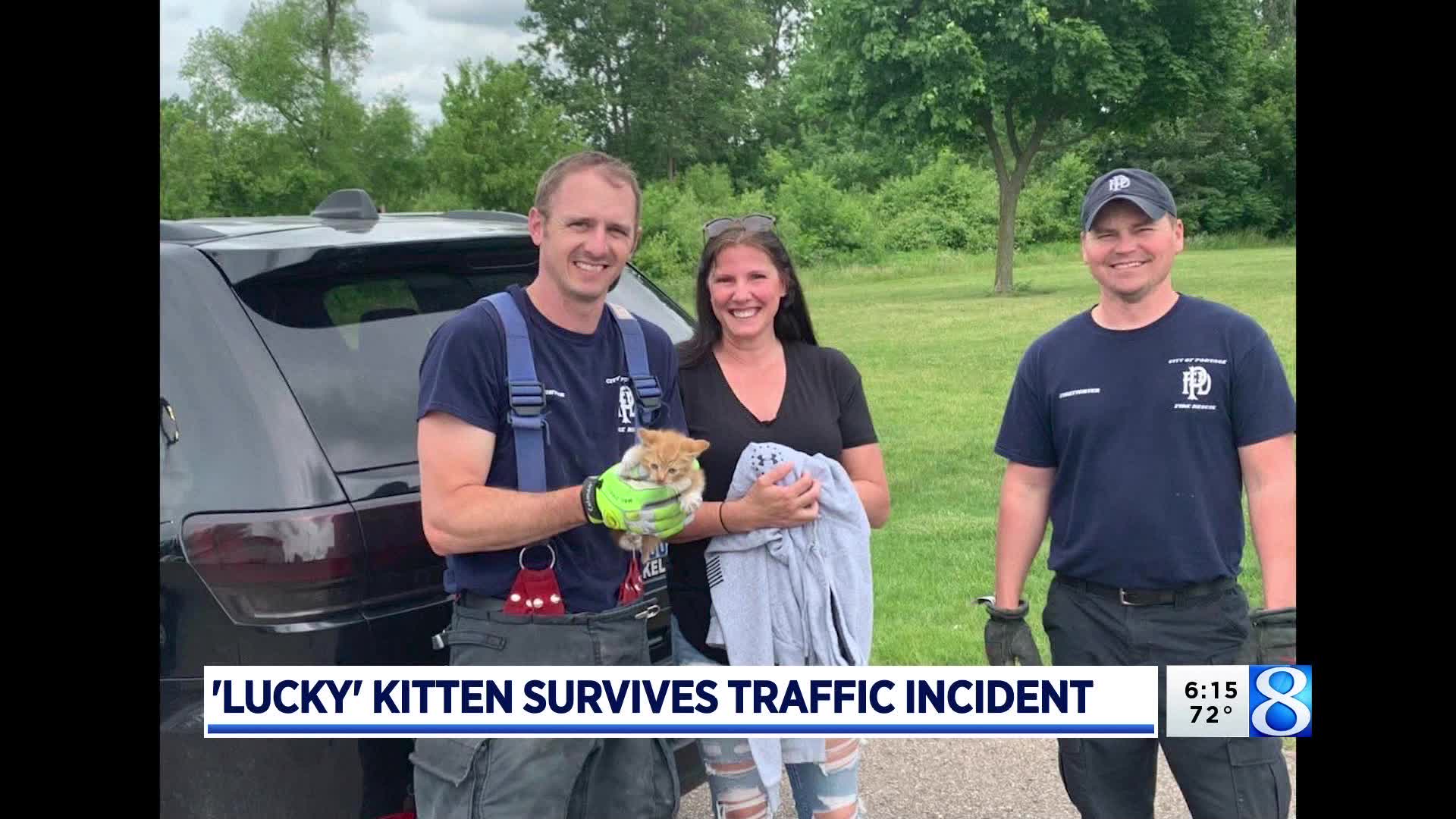Kitten rescued after being thrown out vehicle window – WOODTV.com