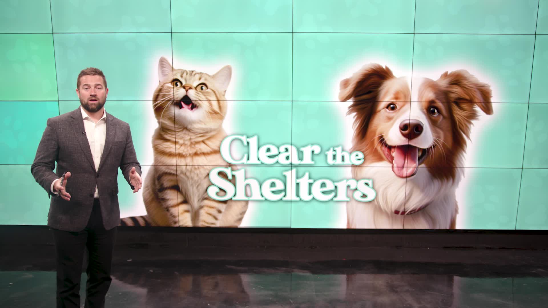 Empty The Rescues Clear the Shelters: Meet the WOOD TV8 rescues – WOODTV.com