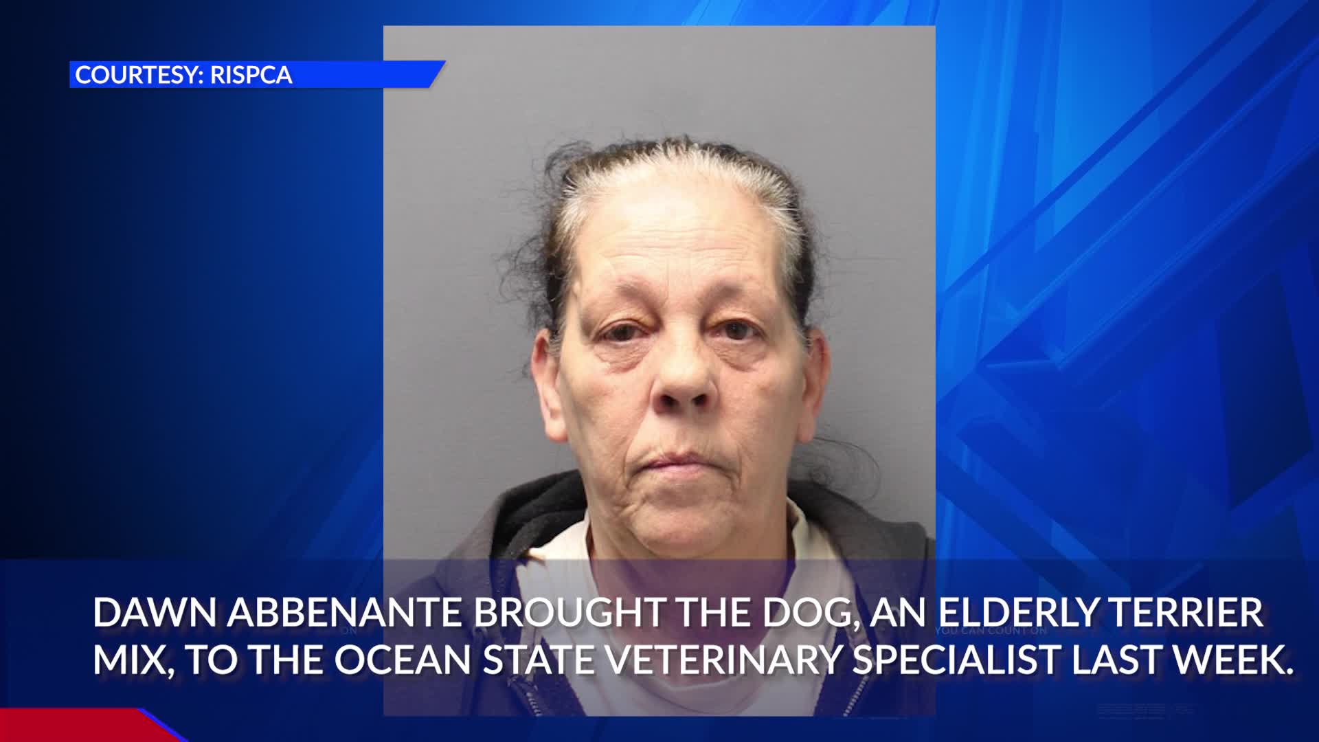 VIDEO NOW: Pawtucket woman accused of neglecting dog prior to its death ...