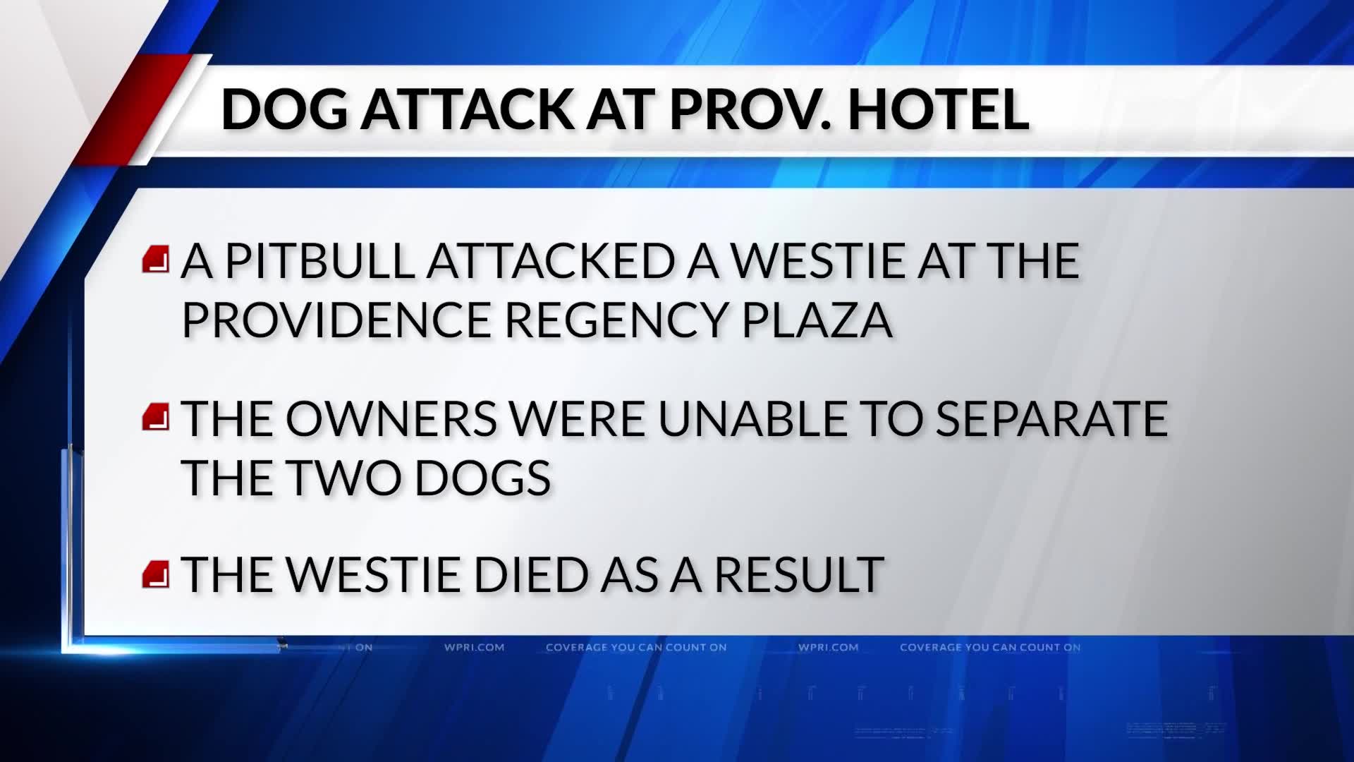 12 News Now: Dog dies after being attacked in apartment complex ...