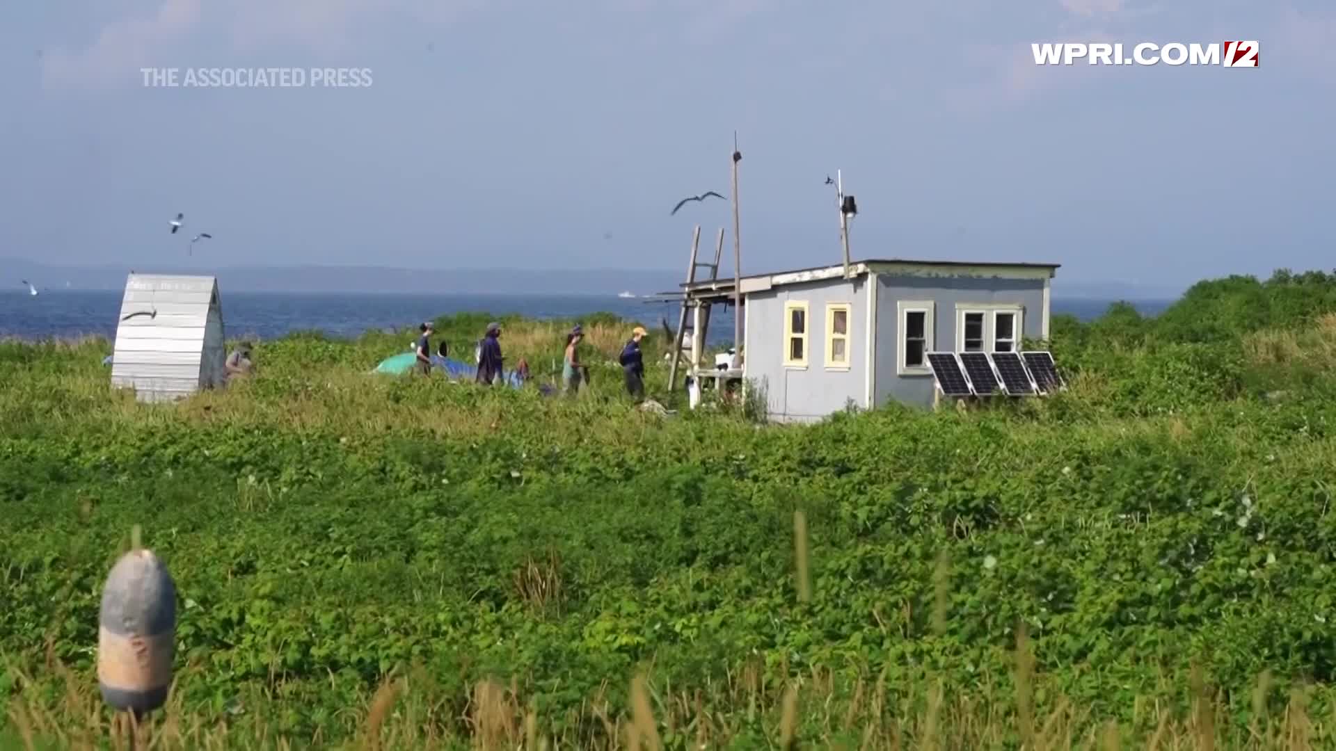 Maine's puffin colonies recovering in the face of climate change