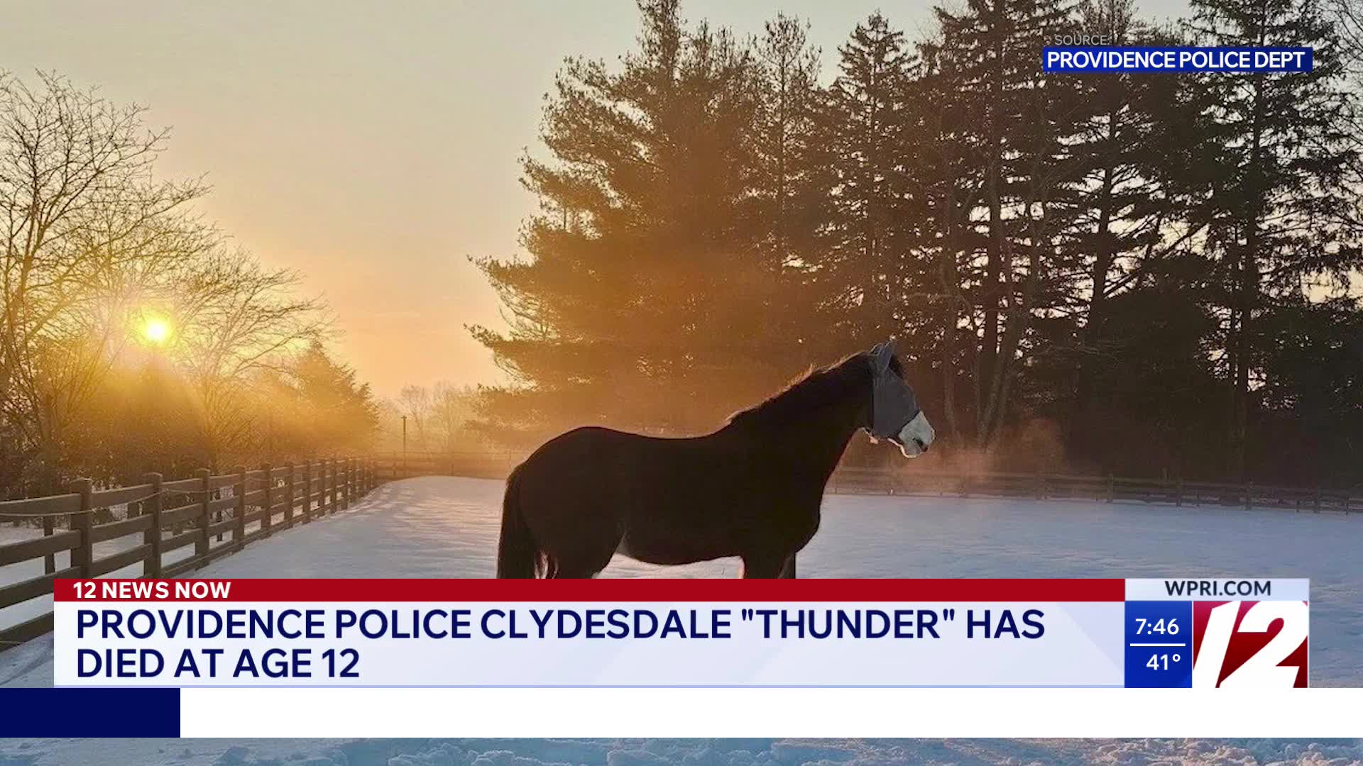 Providence police horse dies – WPRI.com