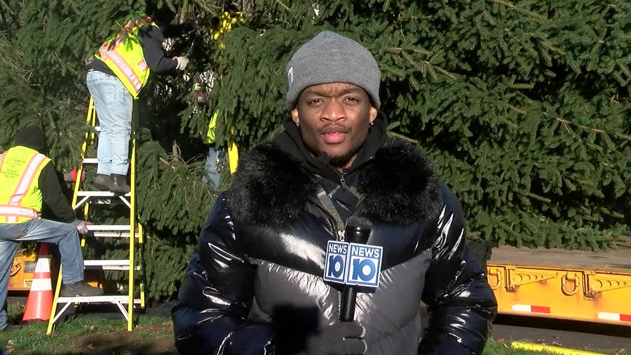 East Capitol Park Christmas Tree arrives in Albany NEWS10 ABC