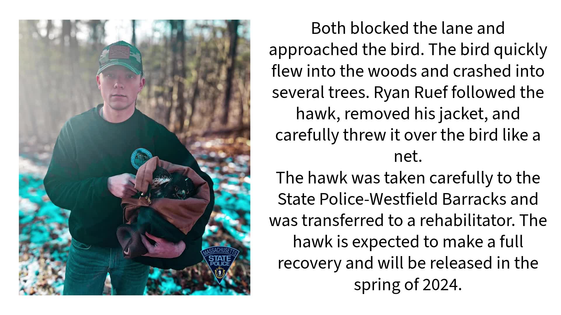 Hawk rescued by father and son off-duty cops – NEWS10 ABC