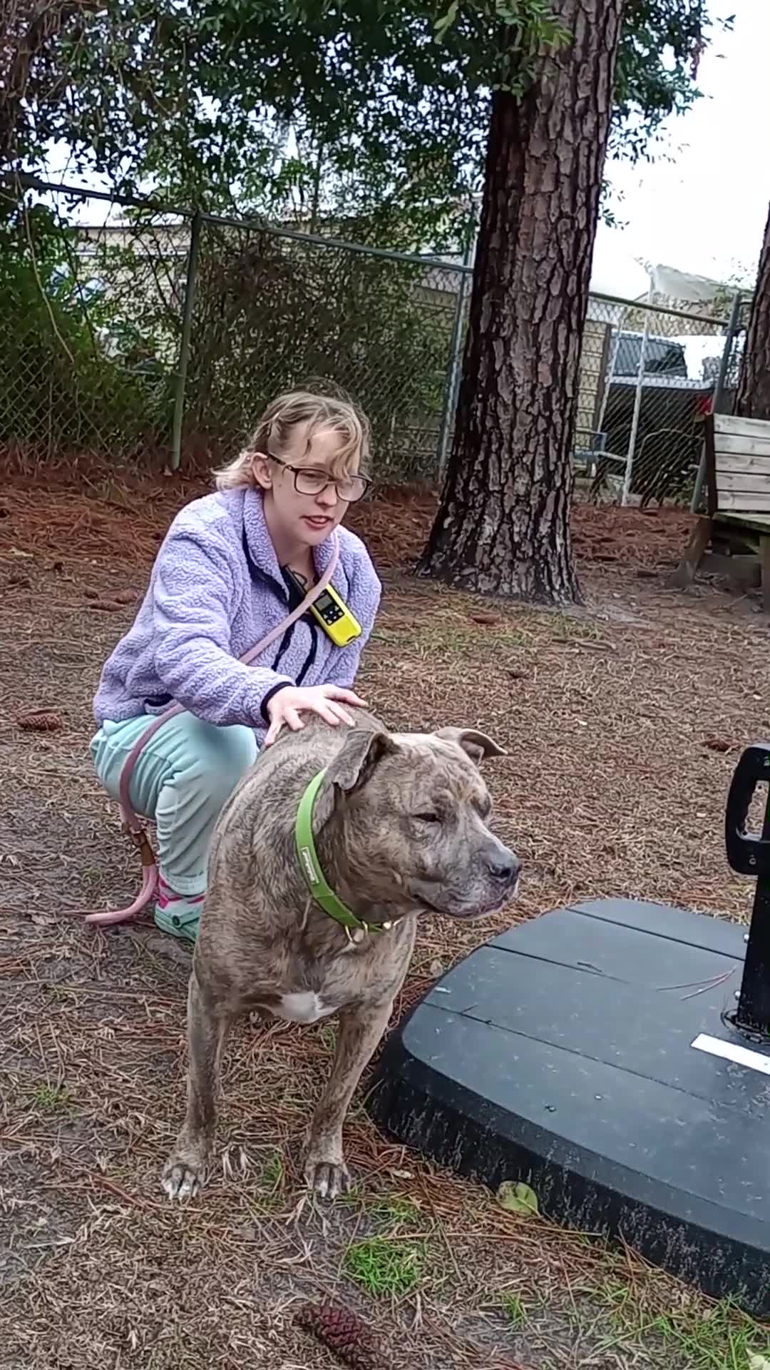 Savannah Humane Society hosts silent night foster program WSAVTV