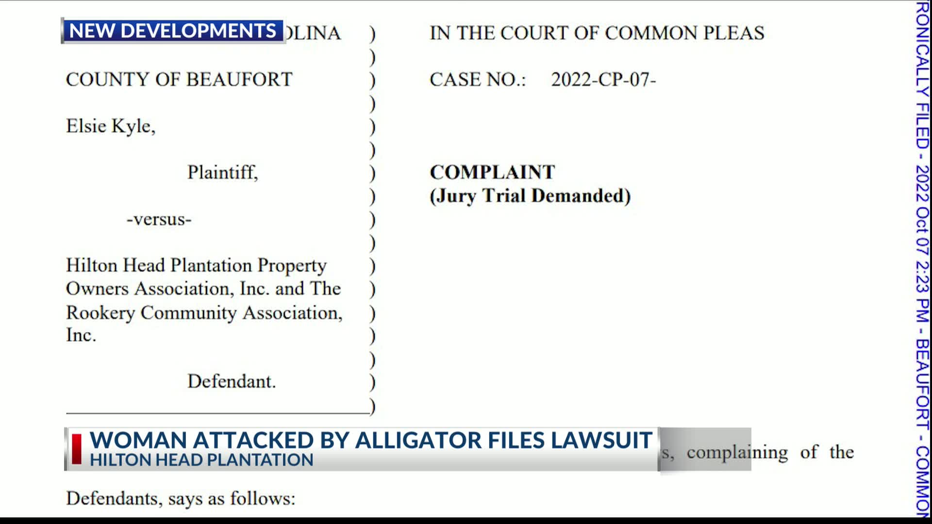 Hilton Head woman sues after alligator attack causes serious injuries