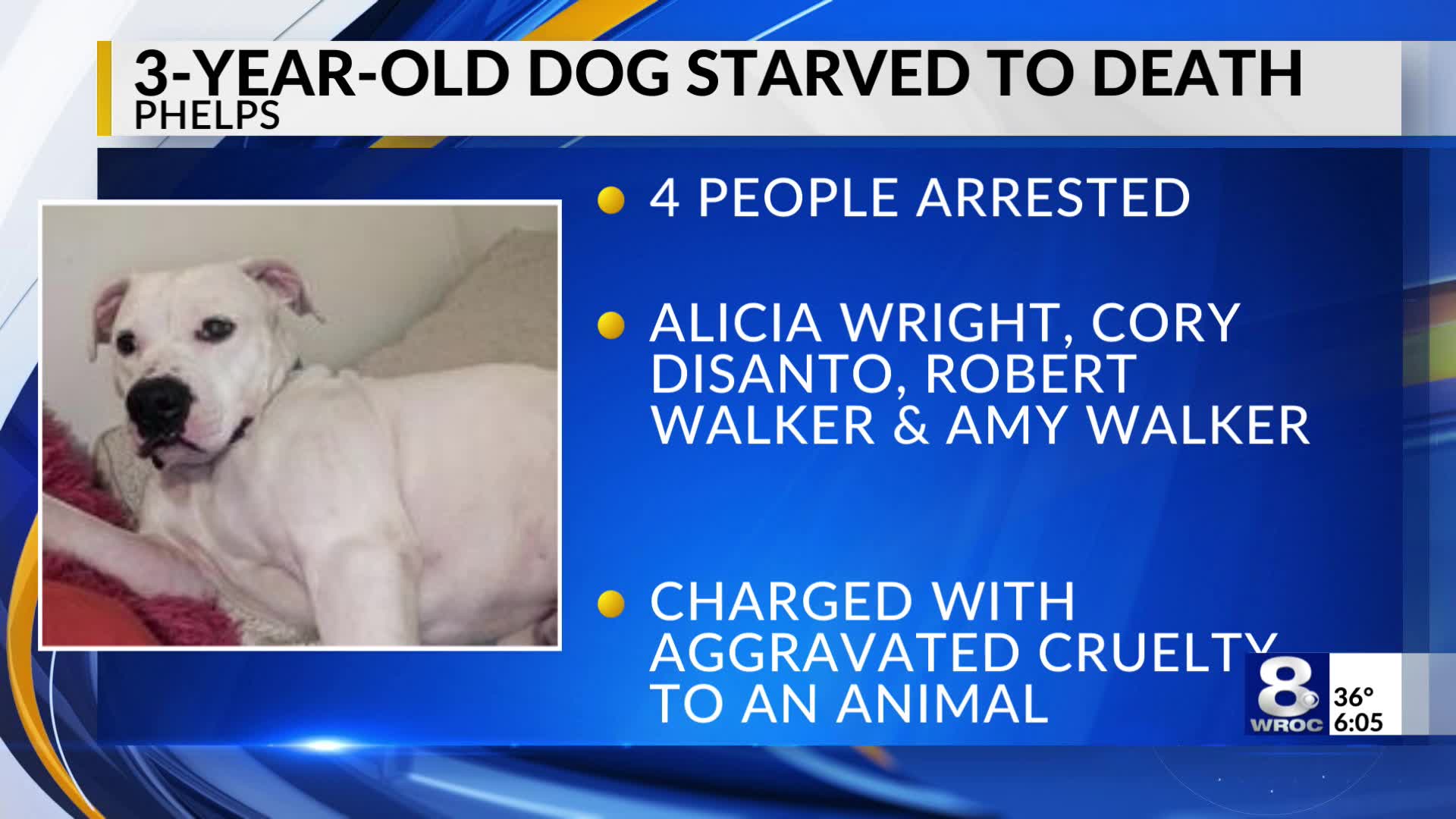 4 people arrested after reports of animal cruelty at Phelps residence ...