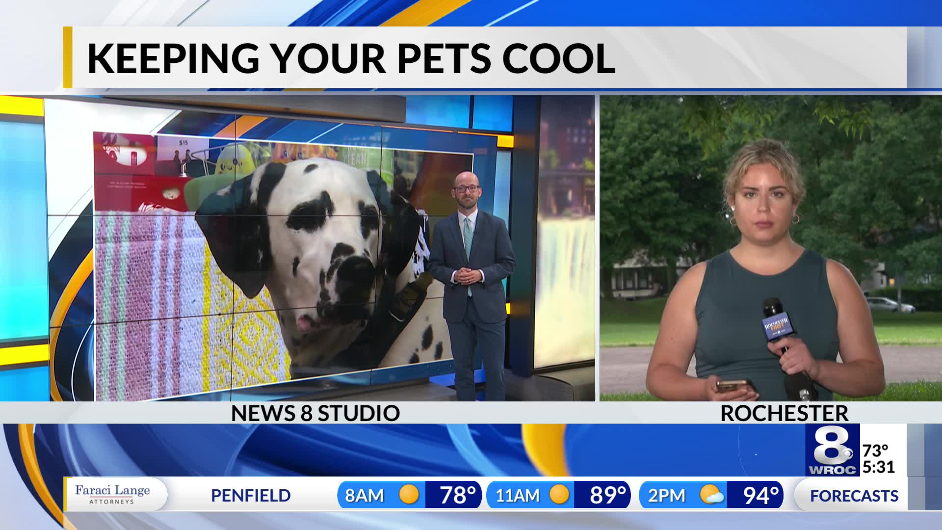 Pet owners reminded to care for their pets during extreme heat