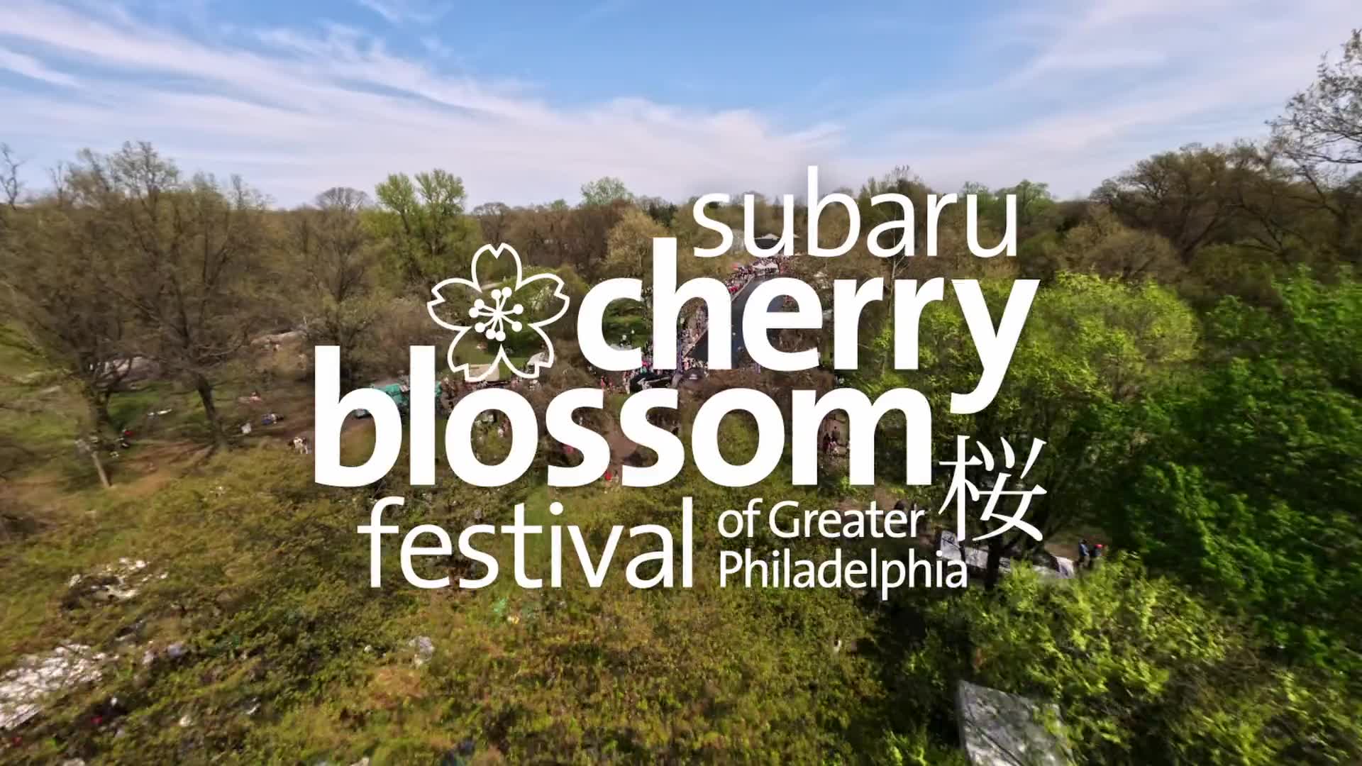 Fairmount Park’s Cherry Blossom Festival is back in full bloom on April ...