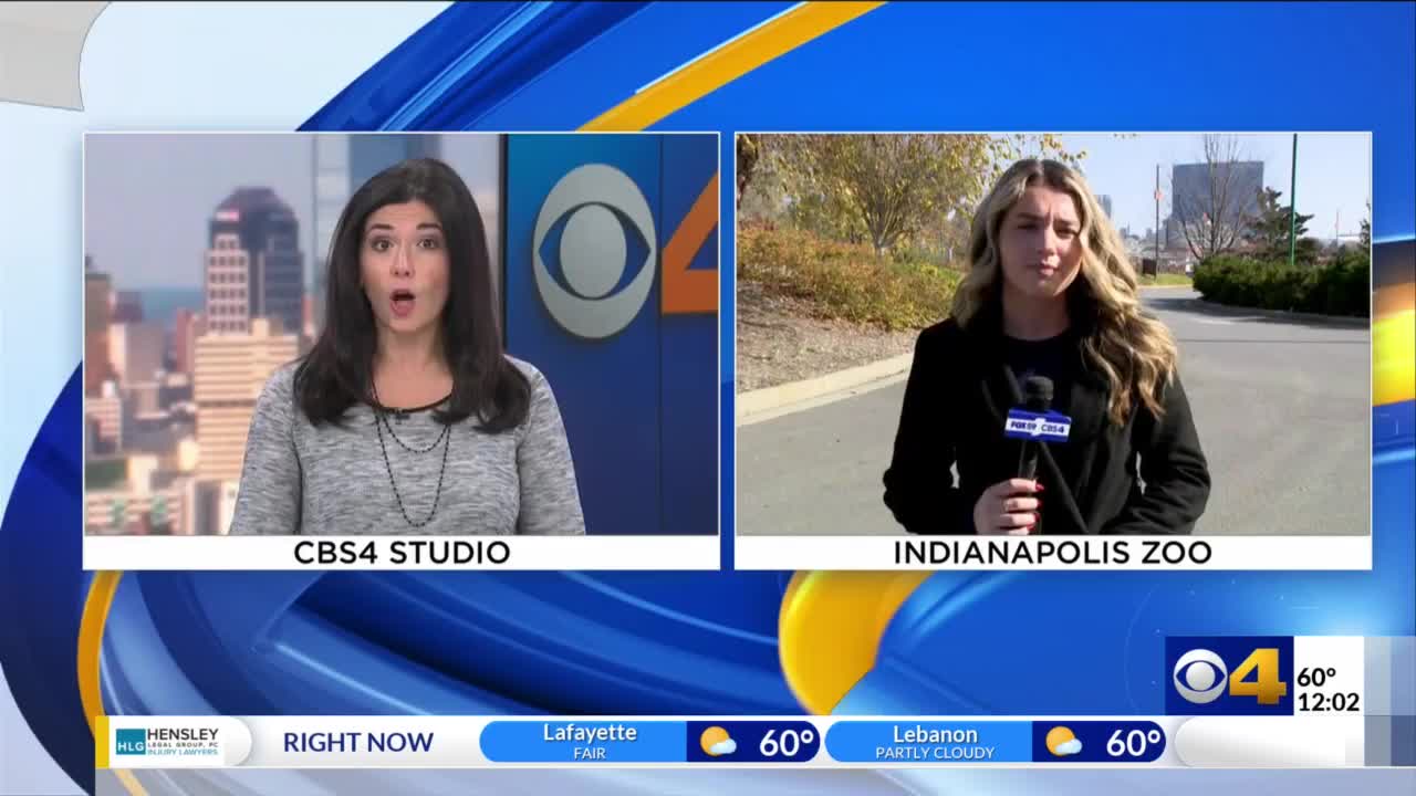 Plea deal made in trial of man accused of killing Indiana State Police ...