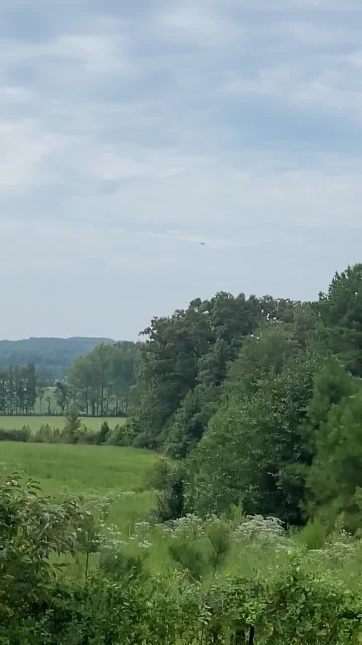 Falkner, MS plane circling