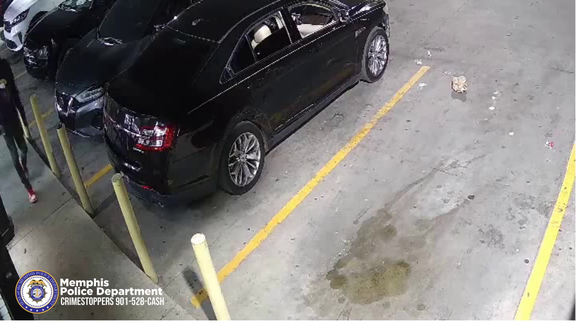 MPD released video of carjacking suspects – WREG.com